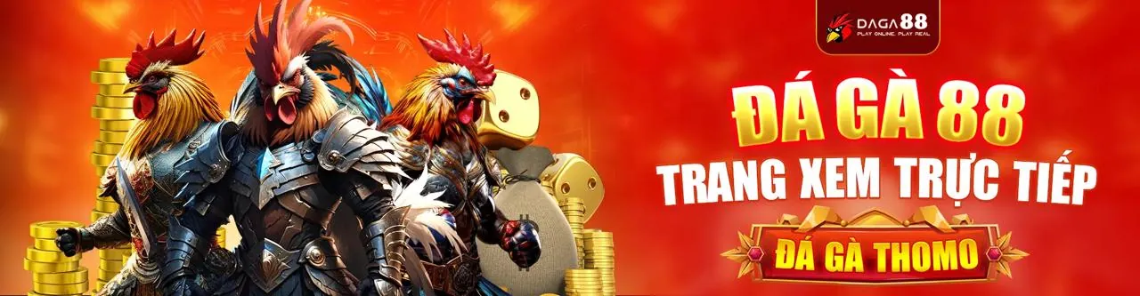 Biểu đồ chiến lược cá cược tổng quan trên LV88 APK